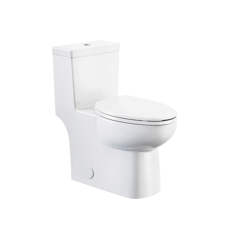 1-Piece Elongated Toilet Bowl with Soft Close, White, 3.8/4.8-L R2O5