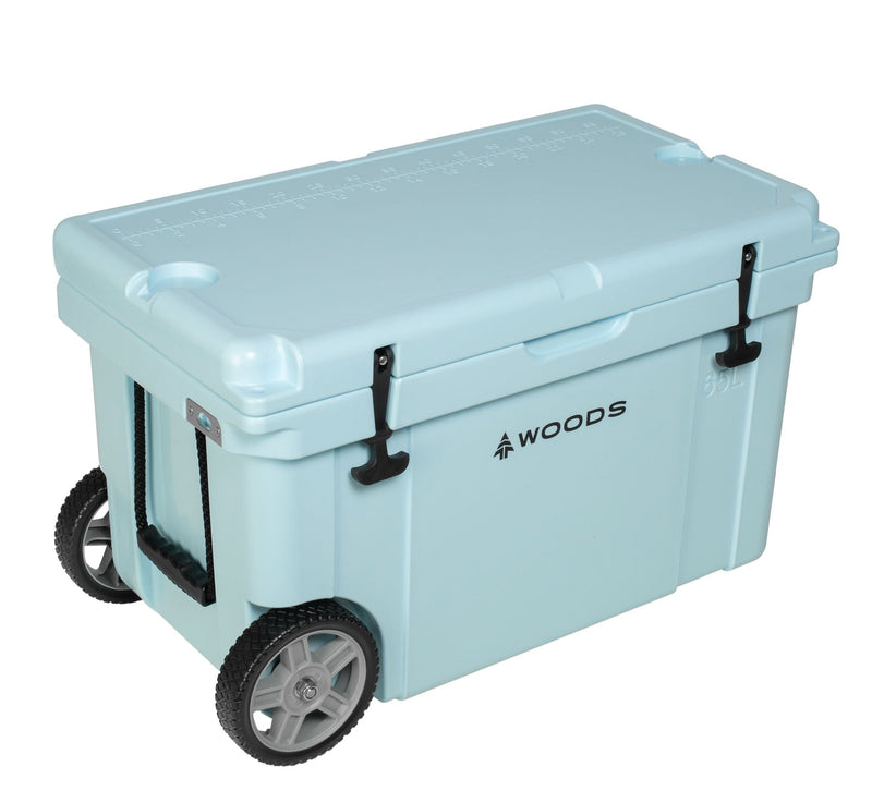ARCTIC Wheeled Roto-Moulded Cooler with Handle, 65-L, Light Blue V7D2